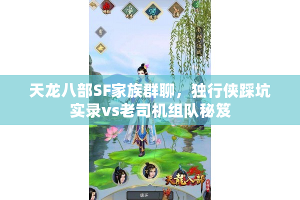天龙八部SF家族群聊，独行侠踩坑实录vs老司机组队秘笈