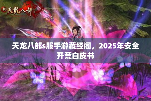 天龙八部s服手游藏经阁，2025年安全开荒白皮书