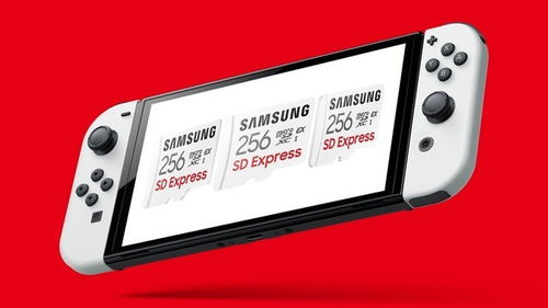 Switch 2存储卡惊爆价！百亿补贴，仅需299元抢购！