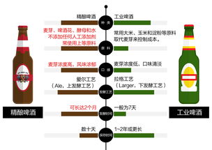 SCUM训练营揭秘：隐藏位置与关键作用全解析