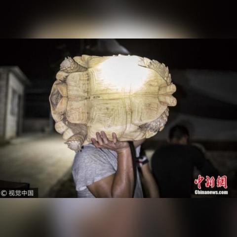 《苏丹的游戏》新版本：镜中来客角色众筹大揭秘！