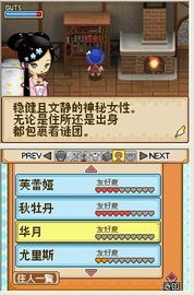 牧场物语风之繁华集市宠物养成攻略：揭秘高效饲养技巧