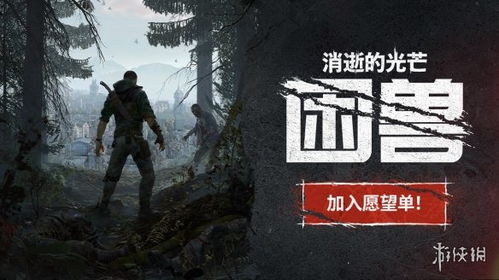 《消逝光芒》主线攻略揭秘：轻松掌握困兽秘密电波通关技巧